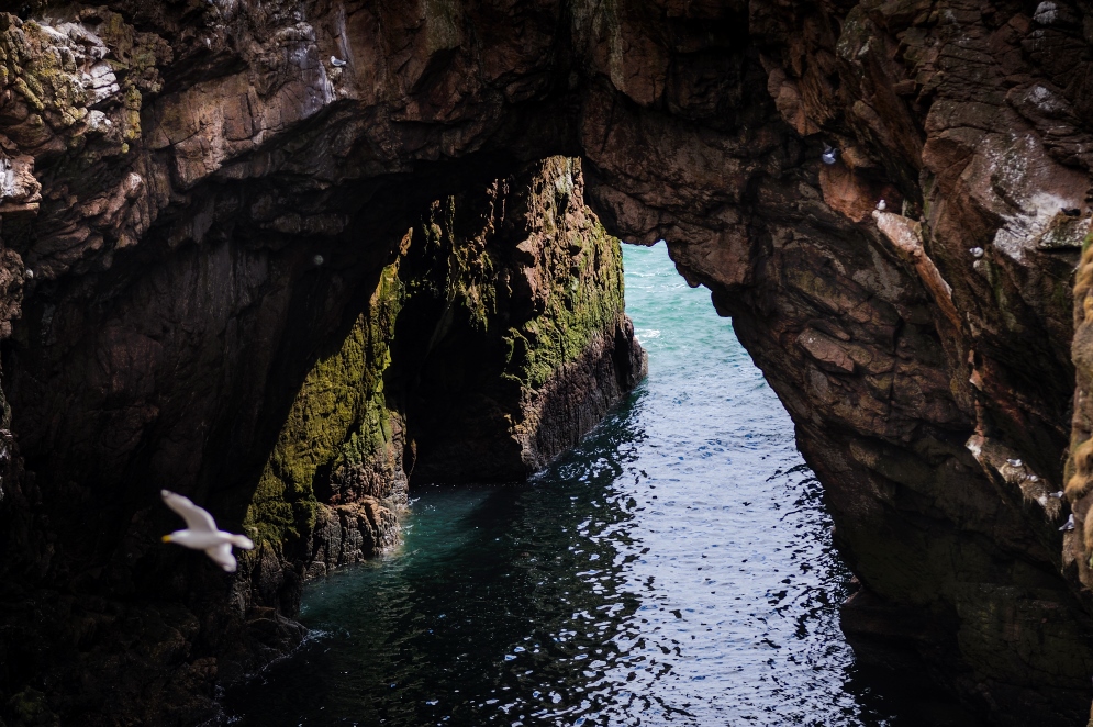 Scogliere di Bullers a Buchan