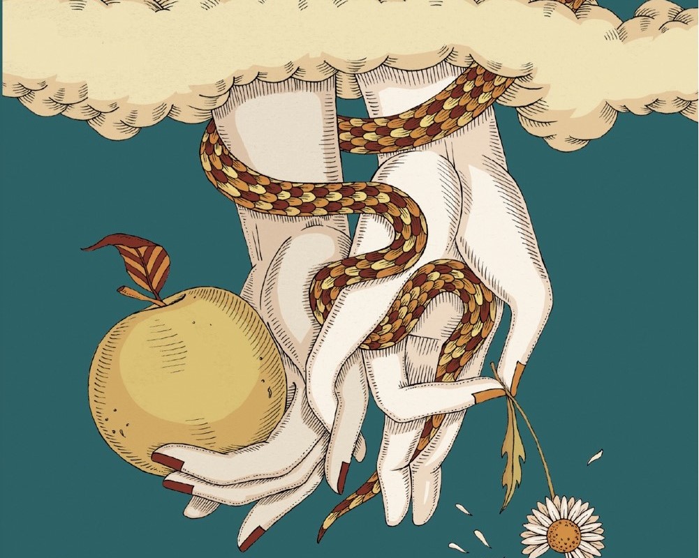 L’illustrazione della copertina del libro è di Elisa Seitzinger