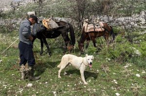 L’anima rurale delle Alpi Albanesi