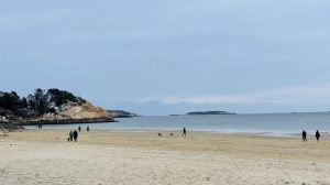 Cape Ann, per le fughe d’amore, le gite e l’ispirazione di artisti