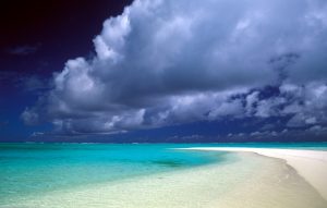 Il respiro fiorito di Rarotonga