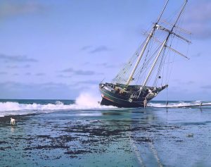 Il respiro fiorito di Rarotonga