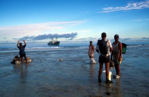Il respiro fiorito di Rarotonga