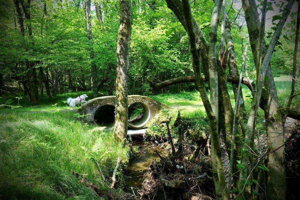 L'acqua è presente ovunque