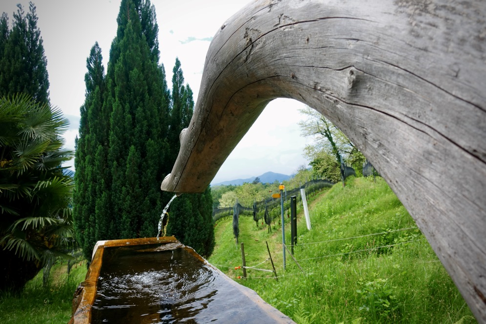 La fontana del Cassinott