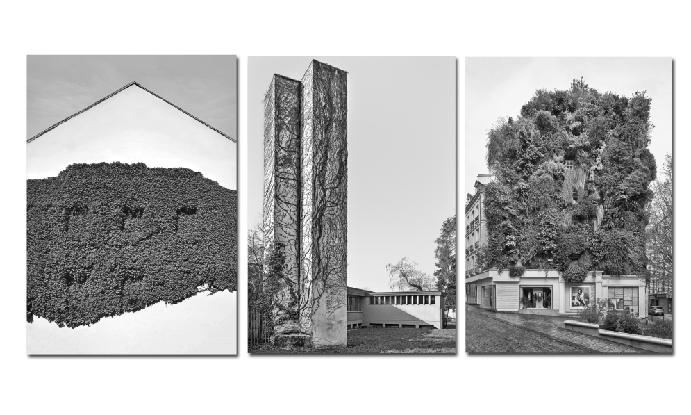 Da sin.: tre foto digital fine-art prints, 2021/2025, ed. 1/5, in esposizione: Phytostopia # 05, 56 × 40 cm; Phytostopia # 09, 56 × 40 cm; Phytostopia # 01, 128.8 × 92 cm