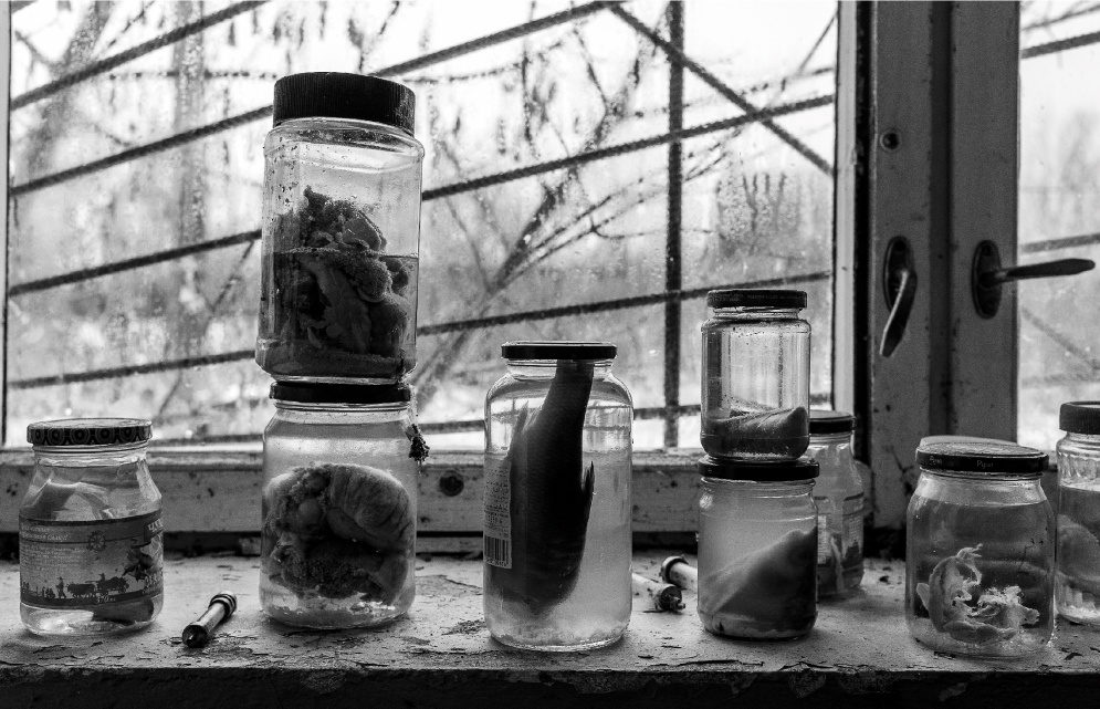 Laboratorio di idrobiologia. Pripjat, Ucraina. Laboratorio radiologico, attivo fino al 1996, per testare gli effetti della radioattività su pesci e molluschi