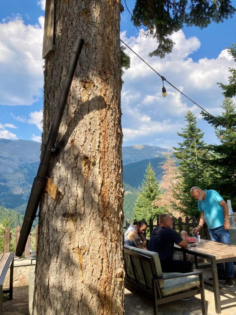 Un pezzo di arma da fuoco in bella mostra nella locanda dell’Eagle Ranch