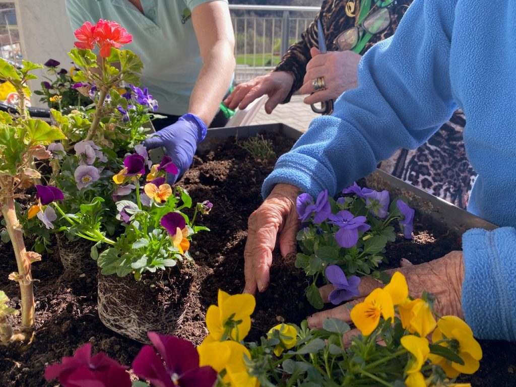 Le aiuole rialzate aiutano gli anziani che lo desiderano a fare ancora del giardinaggio.