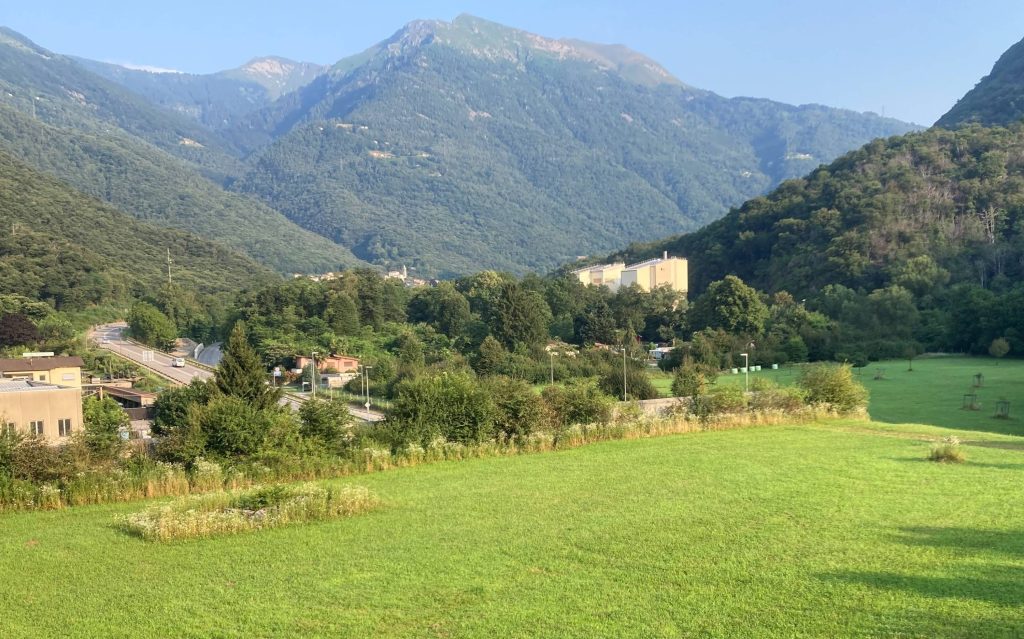 Il corridoio faunistico di Sigirino è un grande prato sopra la strada che consente ai selvatici di transitare nella zona in tutta sicurezza (Giorgio Bonomi) 