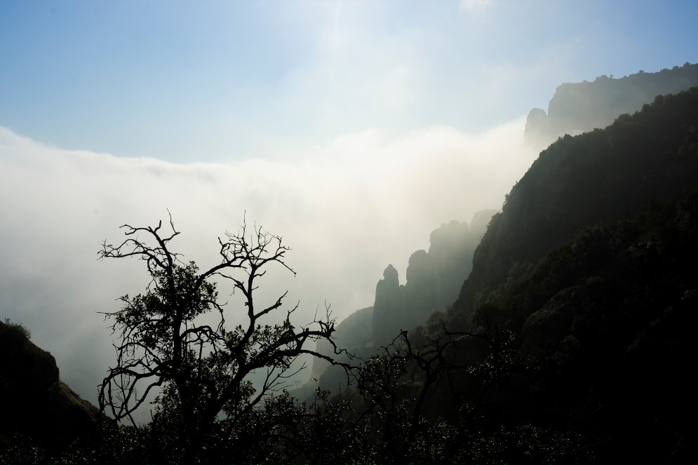 Montserrat non è solo una montagna o un antico monastero benedettino di spettacolare bellezza e di notevole importanza religiosa