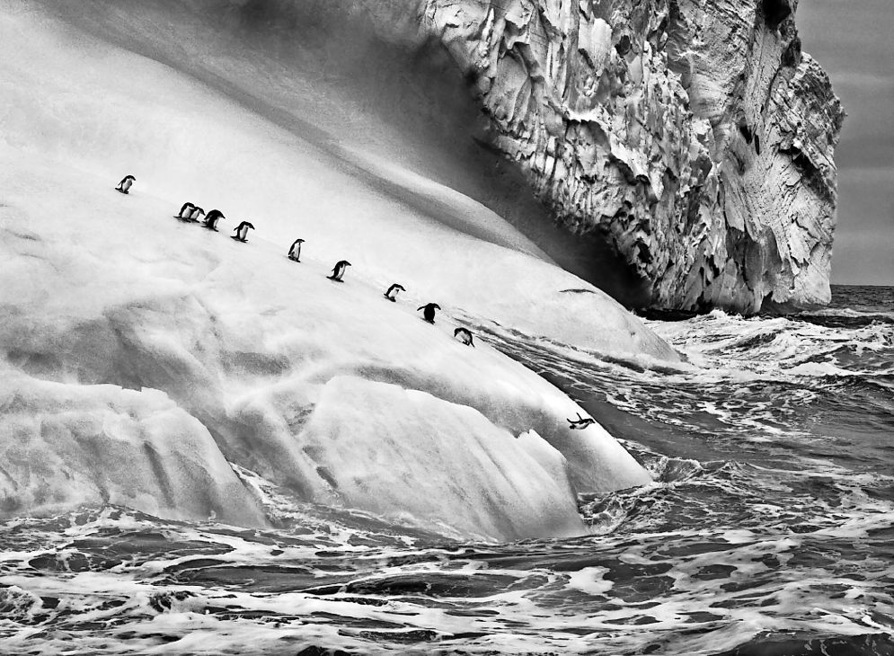 Sebastião Salgado, dalla serie ghiacciai, 1995-2020 (fotografia courtesy l’artista)