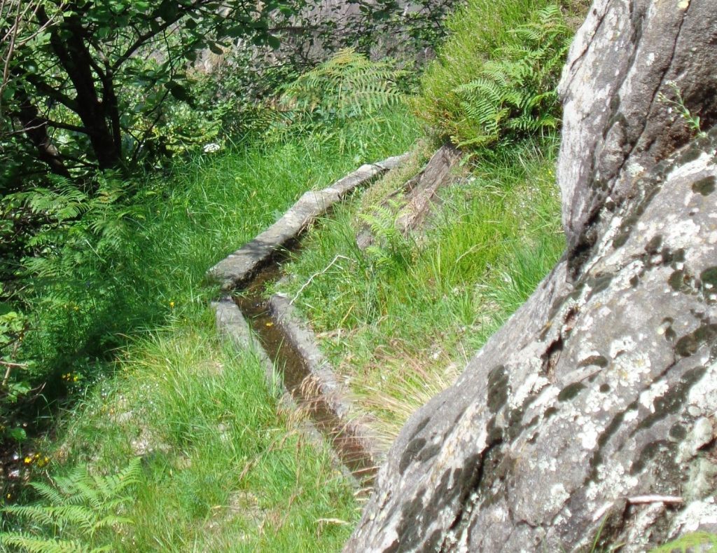 Canalitt di Cortaccio (E. Stampanoni)